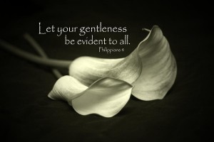 gentleness-linda-fowler